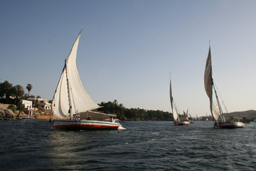 Fototapeta na wymiar sailing the nile on a felucca, traditional sailboat in egypt