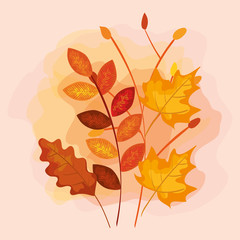 Obraz premium nature leaves and rustic branches plants