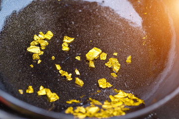gold panning or digging,Discovering Success and Investing Concepts with Business Partners.