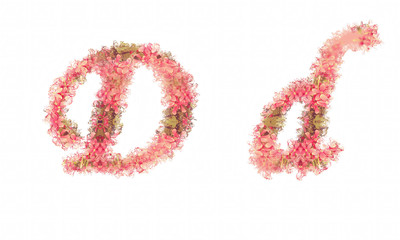Flower alphabet. Colorful font. Uppercase and lowercase.