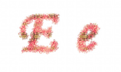 Flower alphabet. Colorful font. Uppercase and lowercase.
