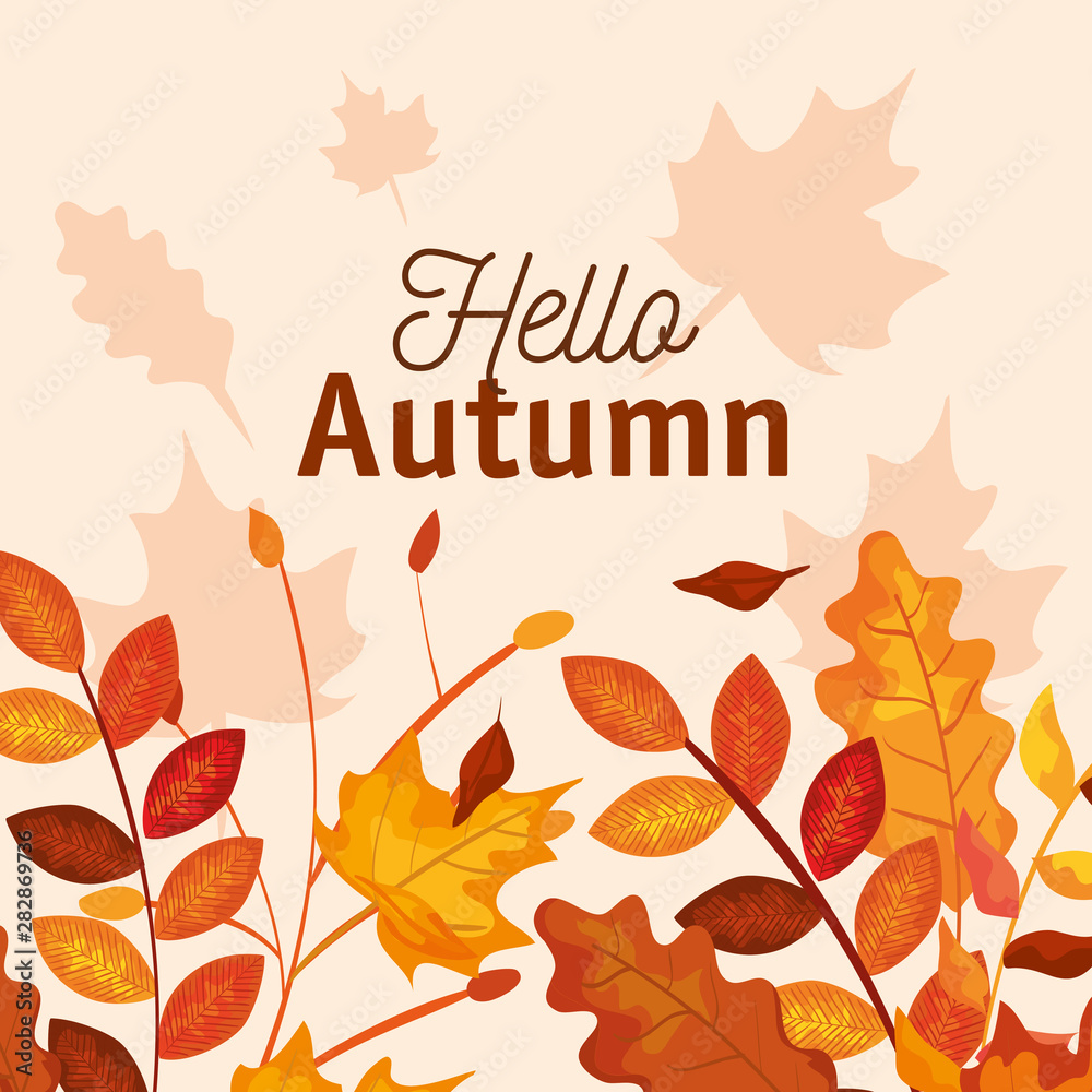 Poster autumn season with leaves and branches plants design