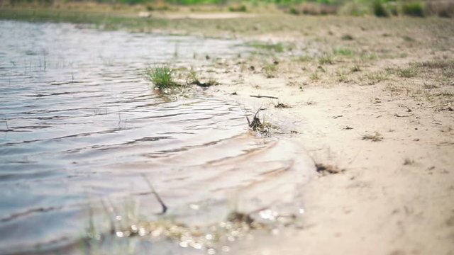 Close up of small waves of water of a sand beach with grass. freshwater of lake, river.