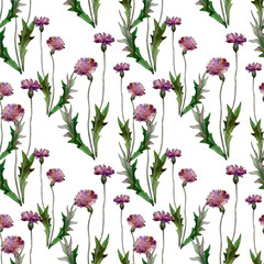 Fototapeta premium Wildflowers floral botanical flowers. Watercolor background illustration set. Seamless background pattern.