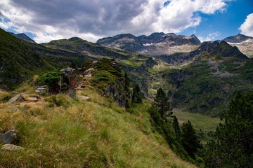 Col de Piñata