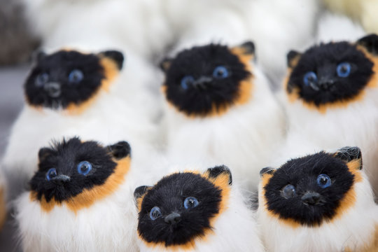 Siamese Toy Fluffy Cats. Many Identical Kittens