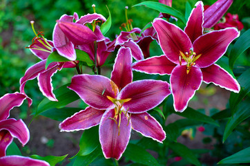 wonderful world around us