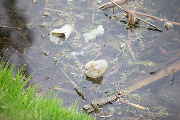 Plastic bottles in the pond. Environmental pollution
