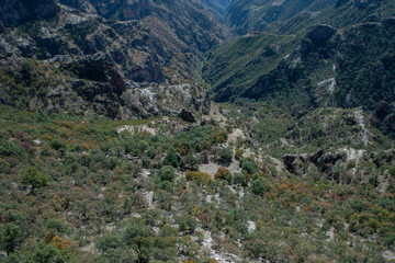 Fototapeta na wymiar Copper Canyon Mexico 