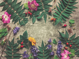 Various wild flowers, herbs and berries are on a cement background with cracks and scuffs. Flat lay.