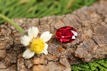 Art and Decoration Gemstone RED RUBY