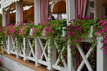Fototapeta na wymiar Beautiful cozy open cafe in the park with flowers. A verandah with a wooden handrail at restaurant.