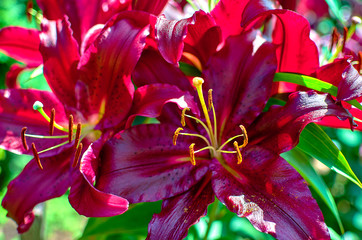 wonderful world around us