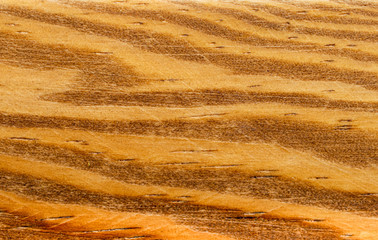 Beautiful lines of old pine wood. Wooden texture background.