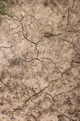 sol extremement sec présentant de nombreuses fissures