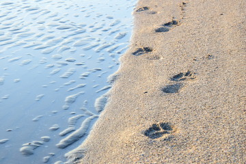 Fußabdrücke im Sand am Meer