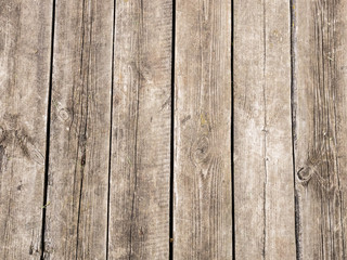 Fototapeta premium Old rough wooden textured background. Rustic wood wall. Text space, empty template.