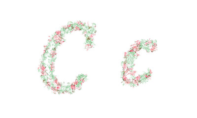 Flower alphabet. Colorful font. Uppercase, lowercase and numbers.