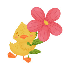 Cute yellow duckling with a flower. Vector illustration on a white background.