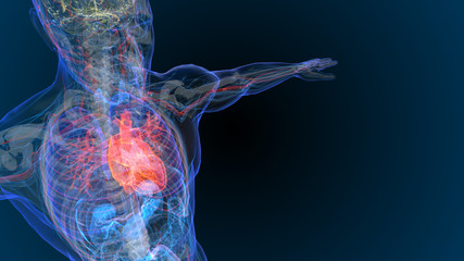 3d rendered illustration of  heart attack and heart disease 3D illustration