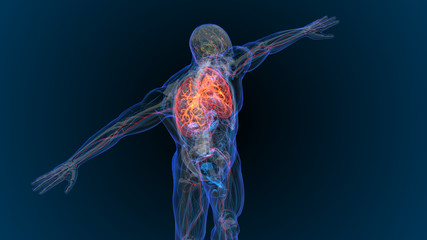 3d rendered illustration of  lung cancer 3D illustration