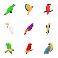 Exotic parrot icon set. Cartoon set of 9 exotic parrot vector icons for web design isolated on white background