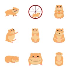 Hamster character icon set. Cartoon set of 9 hamster character vector icons for web design isolated on white background