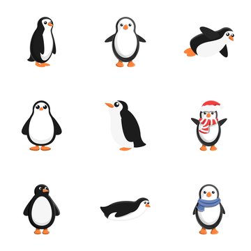 Arctic penguin icon set. Cartoon set of 9 arctic penguin vector icons for web design isolated on white background