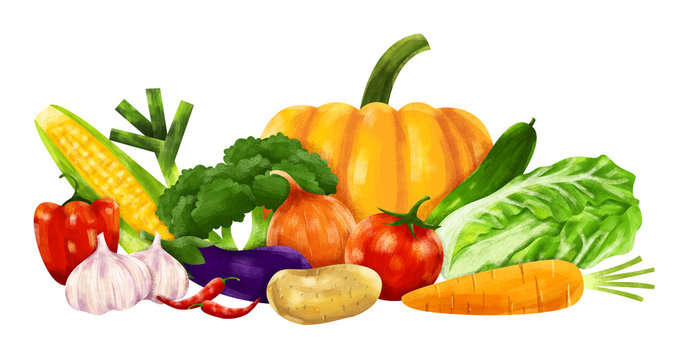 Banner with illustration vegetables in digital painting or hand draw cartoon style. Concept healthy food,Organic Farm,Fresh market