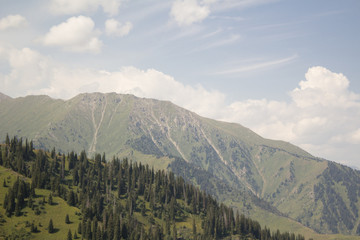 landscape in the mountains