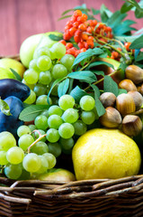 group of healthy autumnal colorful fruits