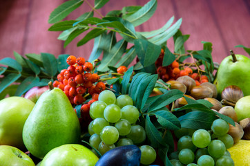group of healthy autumnal colorful fruits