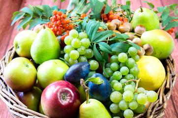 group of healthy autumnal colorful fruits