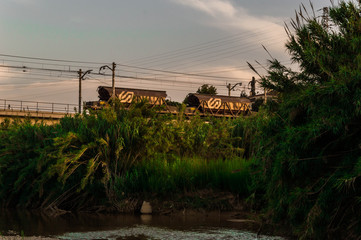 Tropical landscape with old trains.