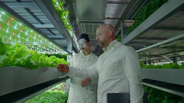reverse camera movement along the corridor, a modern vertical farm with hydroponics, scientists in white coats, engaged in the cultivation of vegetables and plants.
