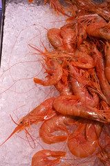 Fresh shrimp chilled in ice