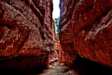 Bryce Slot Canyon by Skip Weeks