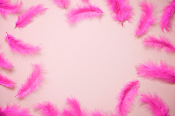 Fototapeta na wymiar Modern pink background with feathers and empty space