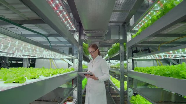 the reverse movement of the camera along the corridor, a modern farm, scientists in white coats inspect, touch the green plants.