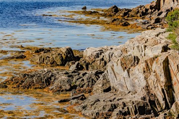 Fototapeta na wymiar Rocky coastline near Land's End, Maine, USA
