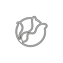 vector cabbage or lettuce illustration isolated