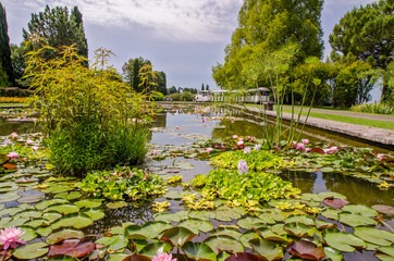 Fototapeta premium park