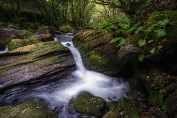 Waterfall and Pools between Mossy Rocks and Lush Vegetation
