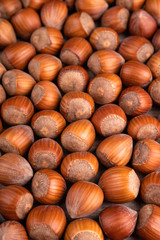 Haselnüsse