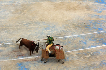 picador en action