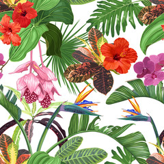 Bright vector seamless pattern of tropical flowers and leaves with many details. Hibiscus, strelitzia, medinilla, orchids on a white background.