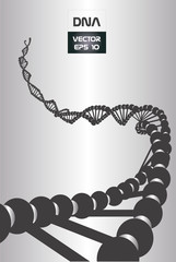 Gray and black dna chain vector
