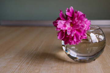 Pink peony in the round glass vase on wooden table with copy space
