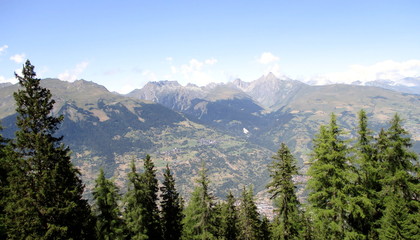 paysage de montagne en été, avec végétation au premier plan et massif alpin en second