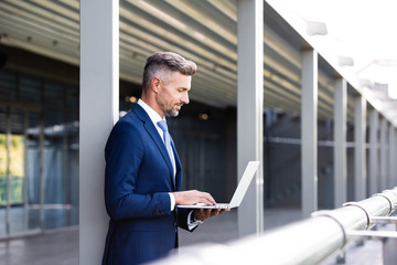 Fototapeta premium side view of handsome businessman in formal wear using laptop